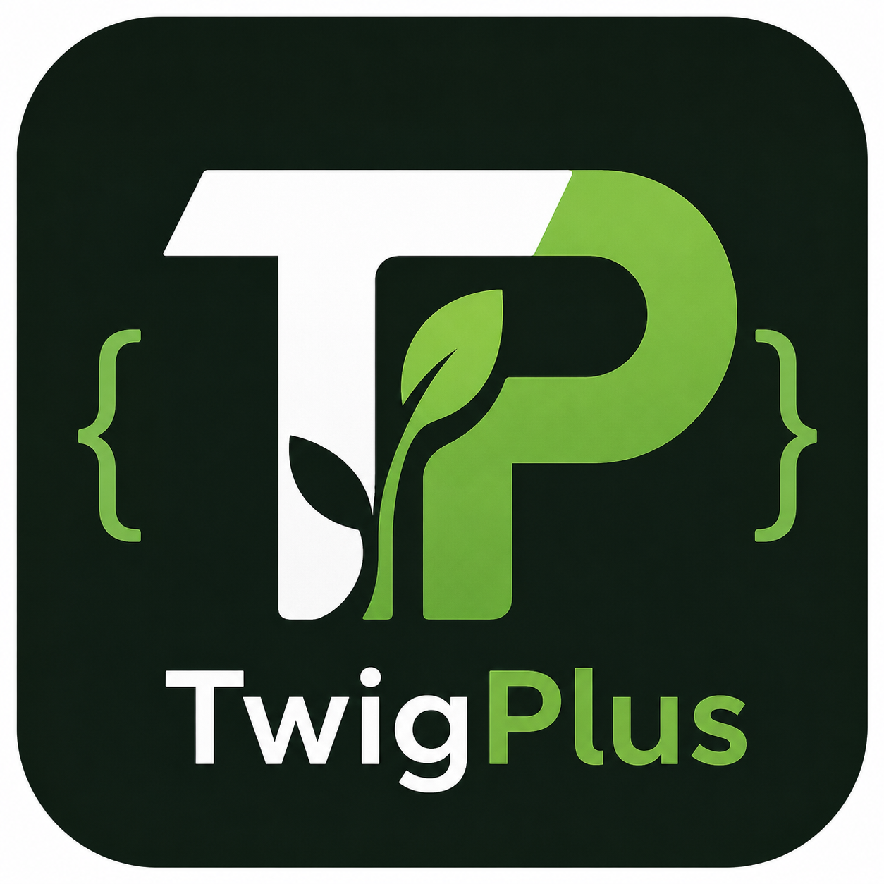 TwigPlus